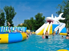Inflatable Shark Water Park
