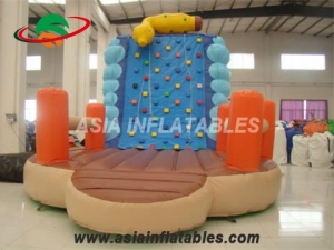 Exciting Inflatable Climbing Wall And Slide Big Blow Up Rock Climbing Wall & Interactive Sports Games